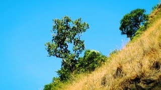 Silent Valley National Park, Palakkad 