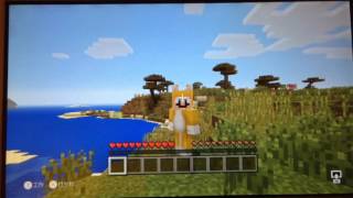 [お知らせ]wiiuマイクラで街を手伝ってくれる人募集(必ず説明欄を見て下さい)