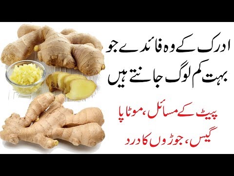 download lagu mp3 mp4 Ginger Benefits In Urdu, download lagu Ginger Benefits In Urdu gratis, unduh video klip Ginger Benefits In Urdu