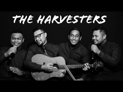 The Harvesters - O Nisi Taimi (Lyric Video)