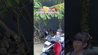Download lagu DOMINIQUE BERANGKAT SEKOLAH NAIK MOTOR SENDIRI😱😱 #viralshort #viralditiktok #viralvideo mp3