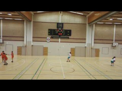 BT 1.DIV LEPY - FEENIKS