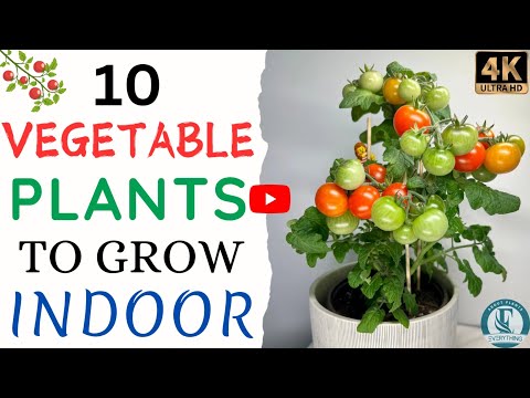 10 Easy-to-Grow Vegetables for Your Indoor Garden. 🌿🌱