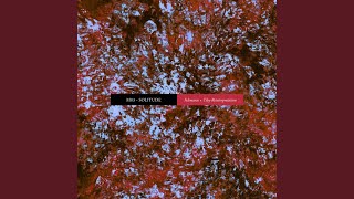 Cover art for Solitude