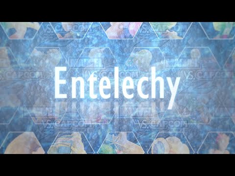 MvC2 Entelechy Combo Video (2025)