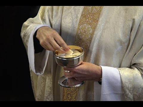 Santa Misa de hoy 15 de agosto "Solemnidad de la Asunción de la V. María". Rvdo. Enric Ribas, pbro.