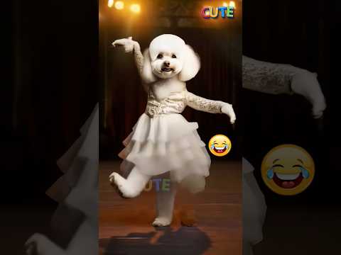 Cute Dog and Cat Dance😂🐶🐈