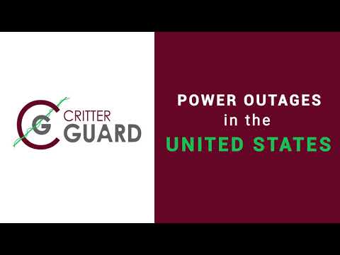 Power Outages in the United States