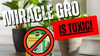 DON’T Use Miracle Gro, Use these Organic Fertilizers Instead!