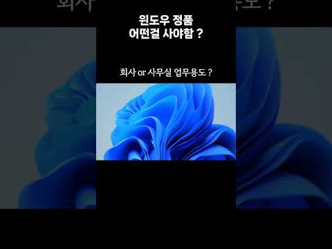 정품 윈도우 어떤걸 구매해야함 ?