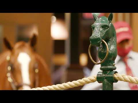2020 Keeneland September Yearling Sale Wrap Video
