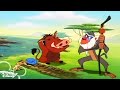 Timon Pumbaa Season 1x12B Rafiki Fables The Sky Is Calling Full Episode