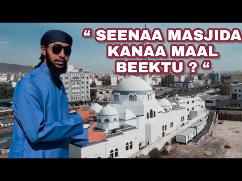 FAANA SEENAA (Kutaa 4ffaa) || Eddoo Seena Qabeessa Ganda Banii Saalim||