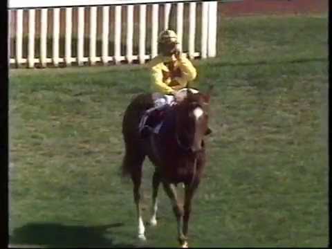 1988 Linlithgow Stakes - Redelva
