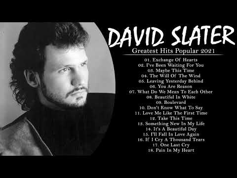 Best Songs Of David Slater 2021 | David Slater Greatest Hits Full Album