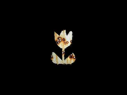 Noize MC - Open Air (2024) audio
