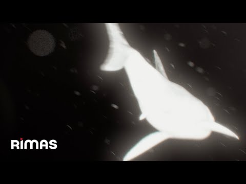 Miniatura de Donde Fue/Cuando Fue