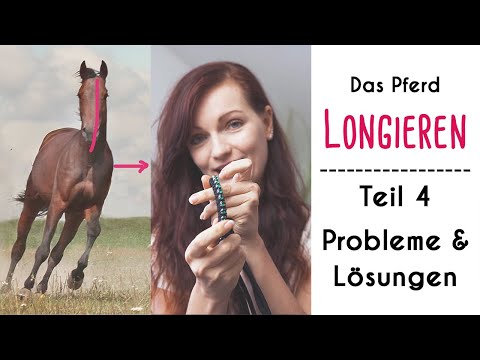 Lunging a horse | Part 4: Common problems & solutions