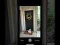 Food Delivery Picks 2