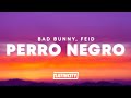 Bad Bunny, Feid - PERRO NEGRO (Letra)