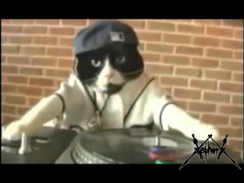 Gato DJ (Mix Editado)