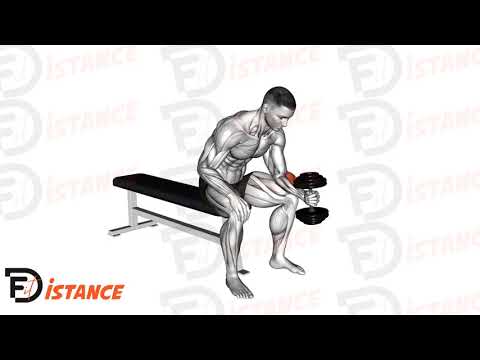 Exercice Curl de poignet avec haltère prise neutre