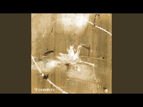 Thorn