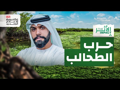 هل سيواجه البشر حربا مع الطحالب | الأثر