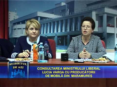 Sighetul de Azi 19 februarie 2014 - Consultarea Ministrului Lucia Varga cu producatorii de mobila P1