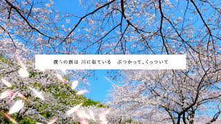 - Asagiri hiroki adding yin - 三度目の春の風 (short ver.)