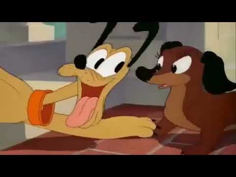 5 HORAS DE CLASSICOS DA DISNEY DESENHOS DE MICKEY , PATO DONALD , tico e teco, desenho infantil. Hd.