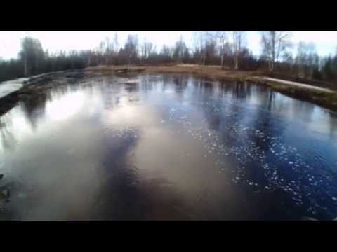 Säynäviä Spintubella