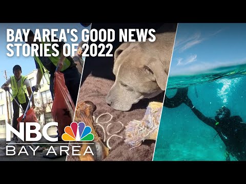 The Bay Area's Good News Stories of 2022
