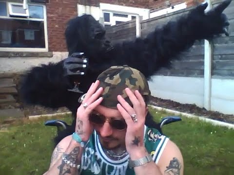 oopsy - Harambe (Official Video)