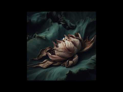 Jiubel - Dead Lotus (Official Audio)