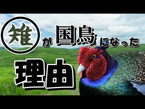 オネガ湖から見たキジ島