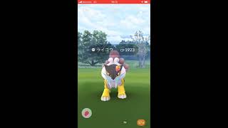 【ポケモンGO】ライコウアワー&アローラ爆湧き！【毎朝5分のポケモンGO実況】