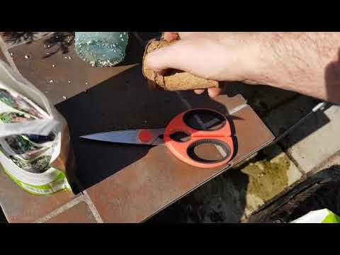 UKFN 2019 - Prepping for Auto's