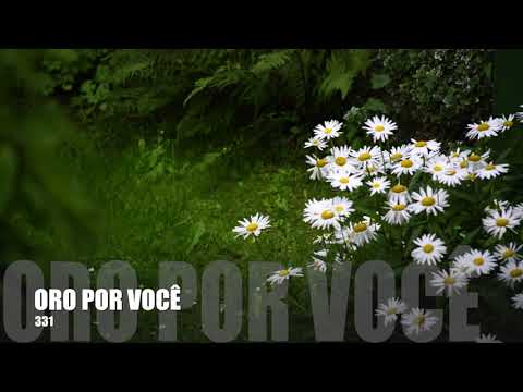Oração 331