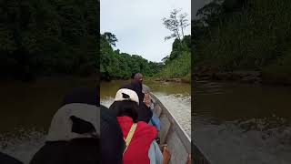 Download lagu DARI DESA MUARA TOYU MENUJU KE LOKASI LAHAN KARET#SHOTS#KERJA mp3