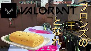 【Valorantコンペ】ブロンズの王となれ【Valorant初心者】