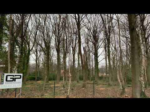 Schilde - 's Gravenwezel, Zangerhey 5