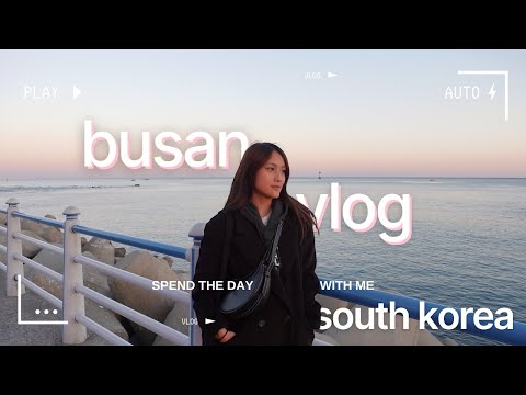 A day in Busan Korea - street food seafood and beach sunset travel vlog
