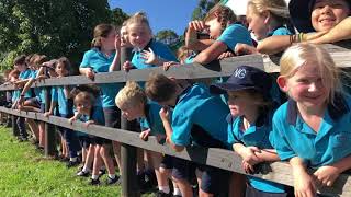 Sydney to Surfers 2019 Day 5 Recap!