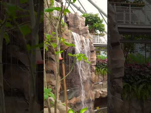 따스한 봄 햇살 아래, 초록빛 힐링환호공원 식물원