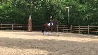 Video von De Burgh 2