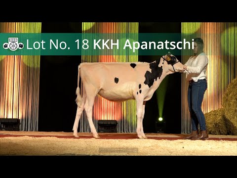 Kat Nr 18   KKH Apanatschi