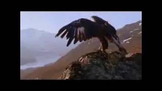 Duffy  -  Distant Dreamer Video