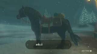 #16 ティアキンを遊ぶ人々