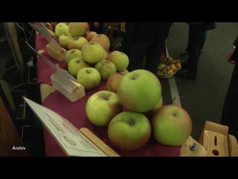 Elsterwerda: Erntedankfest nun doch abgesagt - LAUSITZWELLE